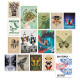پک پوستر پروانه (Butterfly Collection)