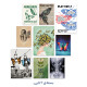 پک پوستر پروانه (Butterfly Collection)