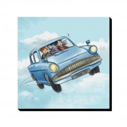 تابلو شاسی طرح هری پاتر و ماشین آبی کد cfp1580