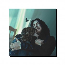 تابلو شاسی طرح هری پاتر و سوگ پروفسور اسنیپ کد cfp1578