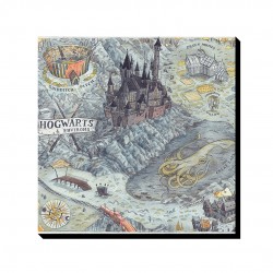 تابلو شاسی طرح هری پاتر و نقشه ی مدرسه کد cfp1577