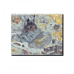 تابلو شاسی طرح هری پاتر و نقشه ی مدرسه کد cfp1577