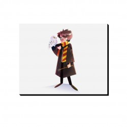 تابلو شاسی طرح هری پاتر و جغد برفی کد cfp1574