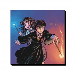 تابلو شاسی طرح هری پاتر و هرماینی کد cfp1583