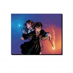 تابلو شاسی طرح هری پاتر و هرماینی کد cfp1583