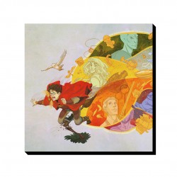 تابلو شاسی طرح رویای هری پاتر کد cfp1584