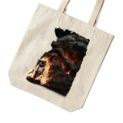 تت بگ متقال طرح فضانورد آتشین