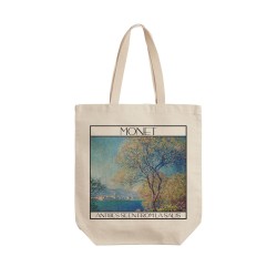 تت بگ متقال طرح نمای آنتیب از لا سلیس از مونه