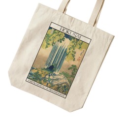 تت بگ متقال طرح آبشار یورو در ایالت مینواز هوکوسای