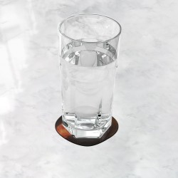 زیر لیوانی طرح من و دیگو از فریدا