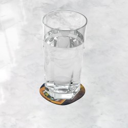 زیر لیوانی طرح من و طوطی ها از فریدا