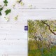 کادوپیچ پارچه‌ ای طرح شکوفه دهی باغ میوه از ونگوگ