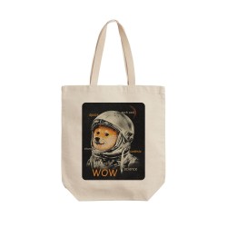 تت بگ متقال طرح روباه فضانورد