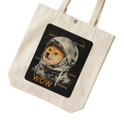 تت بگ متقال طرح روباه فضانورد