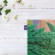 کادوپیچ پارچه‌ ای طرح زیبایی های طبیعی از ماگریت