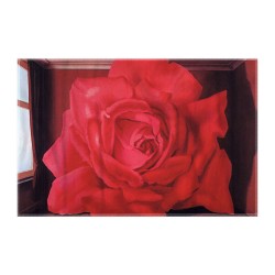 کادوپیچ پارچه‌ ای طرح مقبره کشتی گیران از ماگریت 