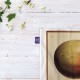 کادوپیچ پارچه‌ ای طرح این سیب نیست از ماگریت