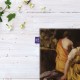 کادوپیچ پارچه‌ ای طرح دیانا و حوری هایش از ورمر