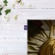 کادوپیچ پارچه‌ ای طرح زن جوان پشت ساز ویرژینال از ورمر