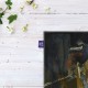 کادوپیچ پارچه‌ ای طرح توری ساز از ورمر