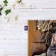 کادوپیچ پارچه‌ ای طرح دسته گل از دالی