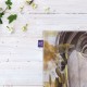 کادوپیچ پارچه‌ ای طرح سر جنگجو از دالی
