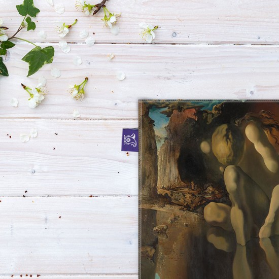کادوپیچ پارچه‌ ای طرح دگردیسی گل نرگس از دالی