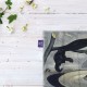 کادوپیچ پارچه‌ ای طرح معمای هیتلر از دالی