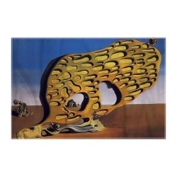 کادوپیچ پارچه‌ ای طرح معمای امیال من از دالی