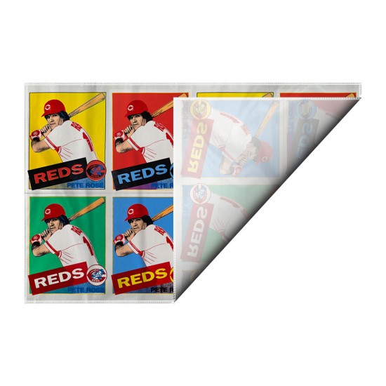 کادوپیچ پارچه‌ ای طرح پت روز از وارهول