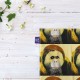 کادوپیچ پارچه‌ ای طرح اورانگوتان از وارهول