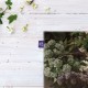 کادوپیچ پارچه‌ ای طرح گل های بهاری از مونه