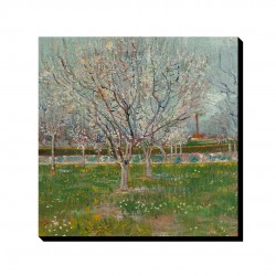 تابلو شاسی طرح درخت های زردآلو از ونگوگ