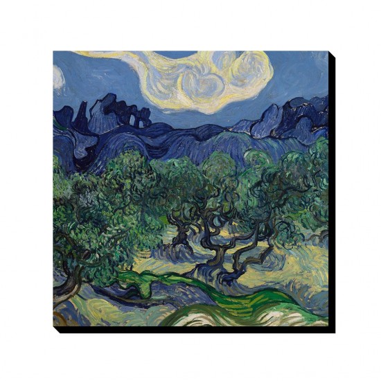 تابلو شاسی طرح درخت های زیتون از ونگوگ