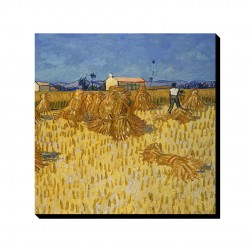 تابلو شاسی طرح خرمن ذرت در پروانس از ونگوگ