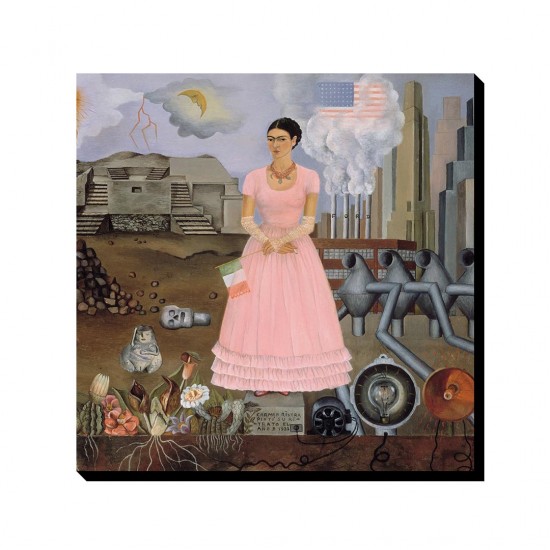 تابلو شاسی طرح خودنگار در مرز مکزیک و آمریکا از فریدا