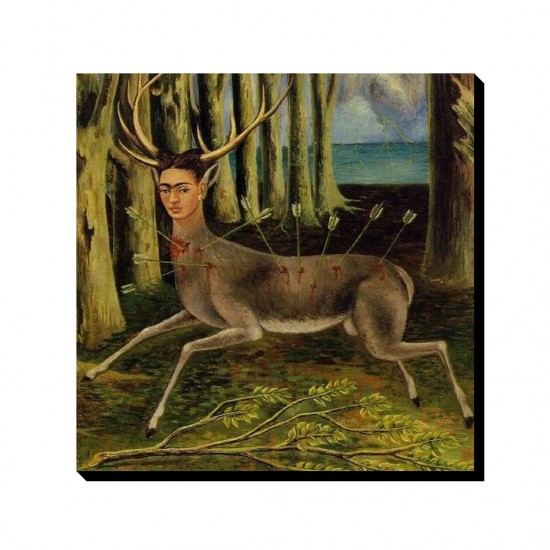 تابلو شاسی طرح آهو زخمی از فریدا