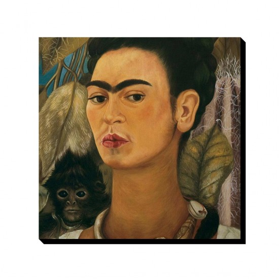 تابلو شاسی طرح خودنگار با یک میمون از فریدا