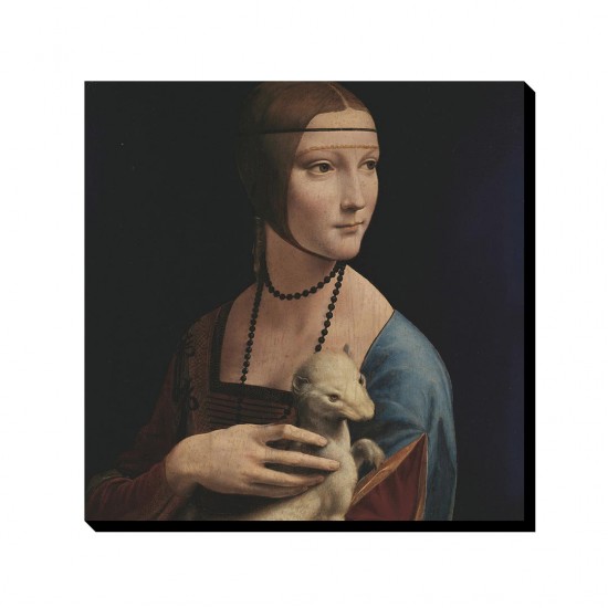 تابلو شاسی طرح خانم و قاقم از داوینچی