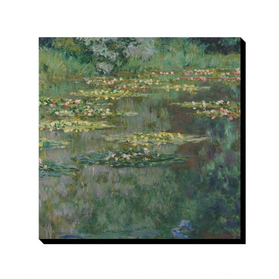 تابلو شاسی طرح برکه نیلوفر های آبی از مونه