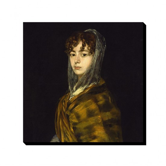 تابلو شاسی طرح خانم ساباسا گارسیا از گویا