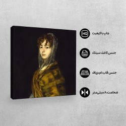 تابلو شاسی طرح خانم ساباسا گارسیا از گویا