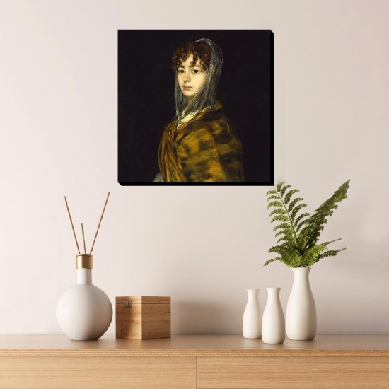 تابلو شاسی طرح خانم ساباسا گارسیا از گویا