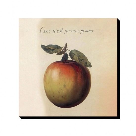 تابلو شاسی طرح این سیب نیست از ماگریت