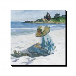 تابلو شاسی طرح جو در حال طراحی در ساحل بندر خوب از هاپر