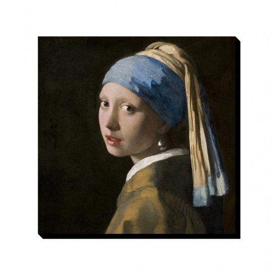 تابلو شاسی طرح دختری با گوشواره مروارید از ورمر