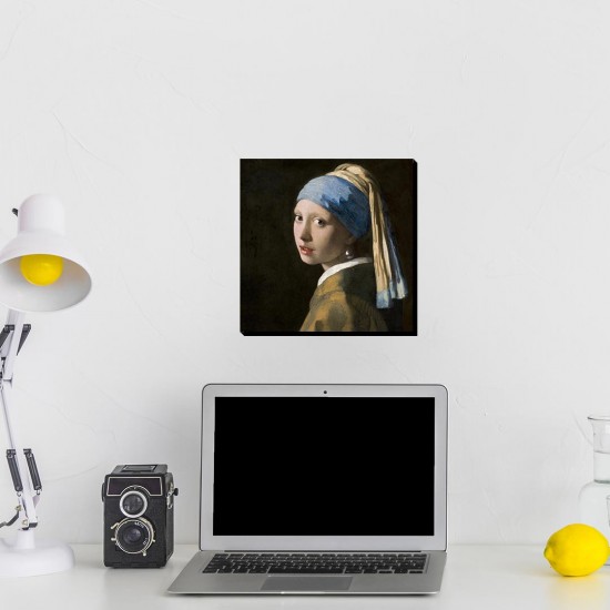 تابلو شاسی طرح دختری با گوشواره مروارید از ورمر