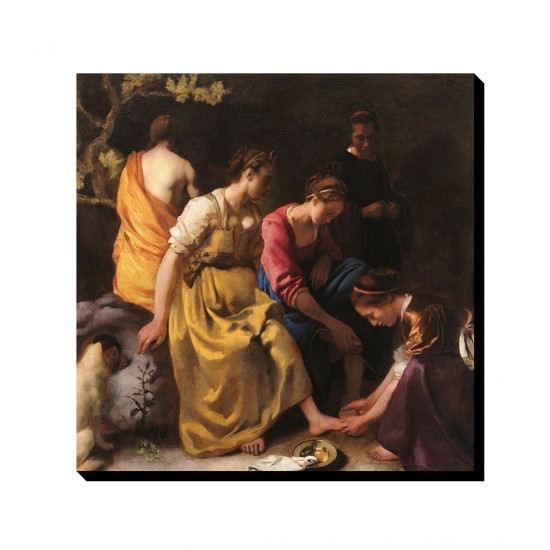 تابلو شاسی طرح دیانا و حوری هایش از ورمر