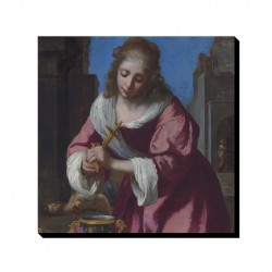 تابلو شاسی طرح سنت پراکسیدیس از ورمر