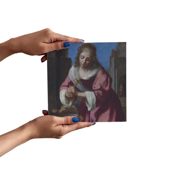 تابلو شاسی طرح سنت پراکسیدیس از ورمر